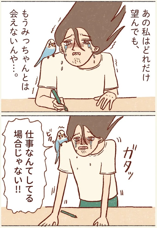 33.webp