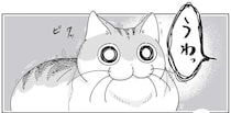なぜか疑い深い猫。飼い主が「なんでもないよ」と謝っても...／夜は猫といっしょ7