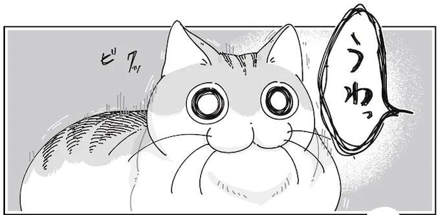 なぜか疑い深い猫。飼い主が「なんでもないよ」と謝っても.../夜は猫といっしょ7