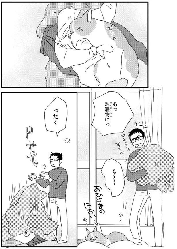 15923080.webp