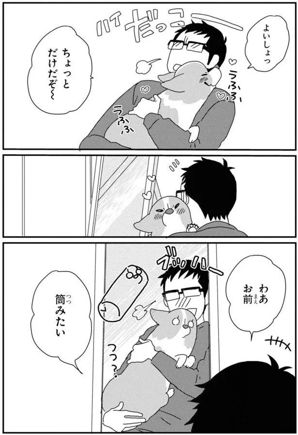 15923082.webp