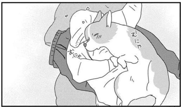 窓に映った姿を見ておや? 抱っこされたワンコが「あれ」みたい!?/あしょんでよッ7