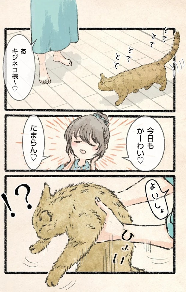 52.webp