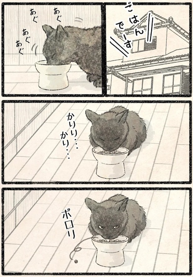 54.webp