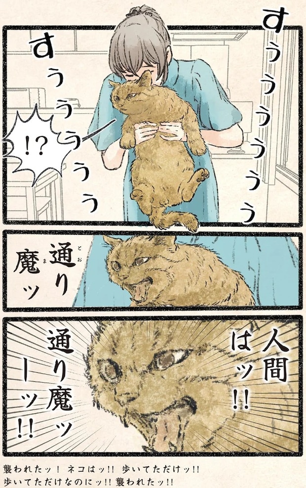 53.webp