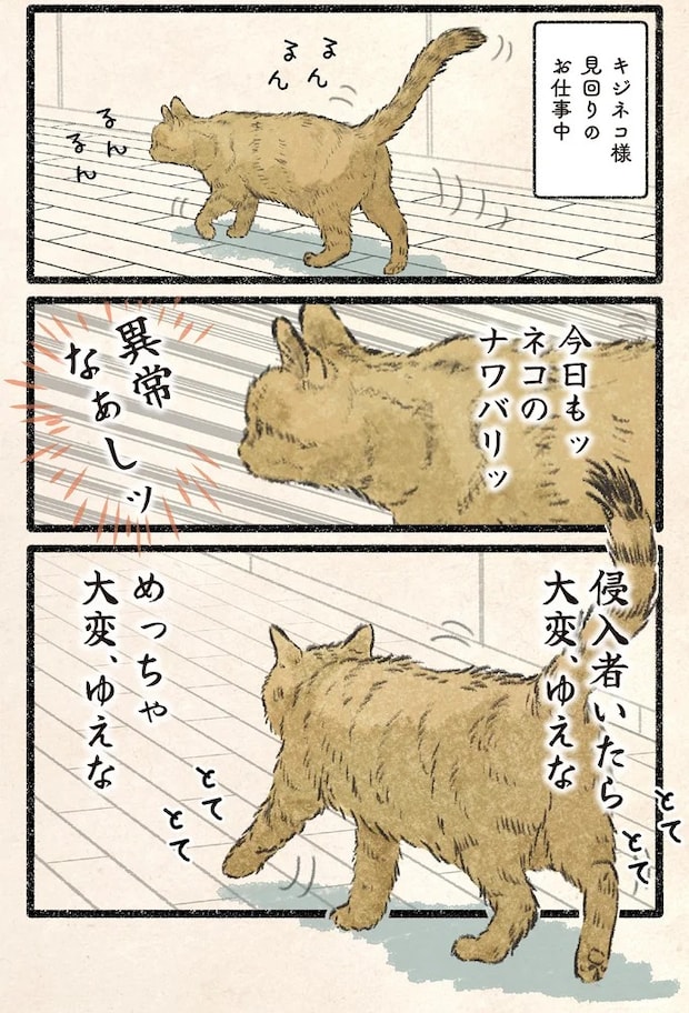 51.webp