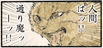 襲われたッ！ 見回り中のネコ様を飼い主がすれ違いざまに...!?／今日もネコ様の圧が強い2