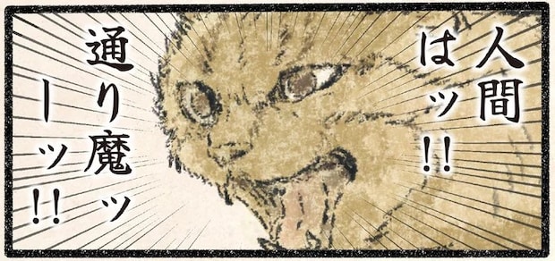 襲われたッ！ 見回り中のネコ様を飼い主がすれ違いざまに...!?／今日もネコ様の圧が強い2