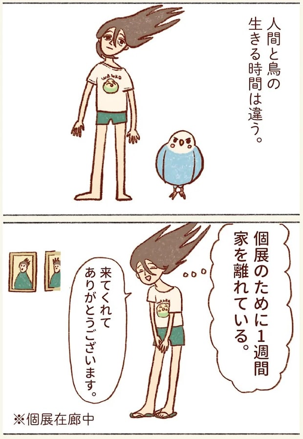 41.webp