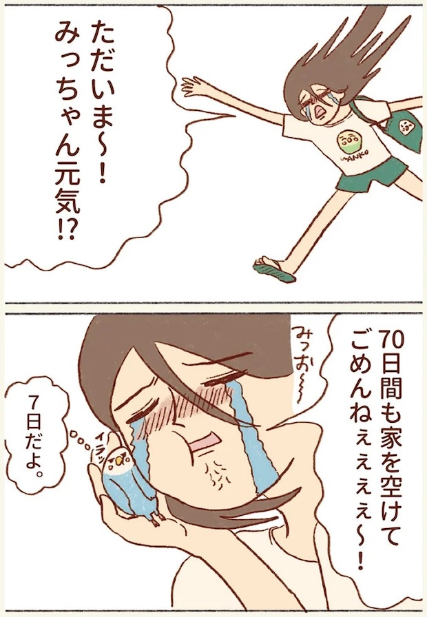 44.webp