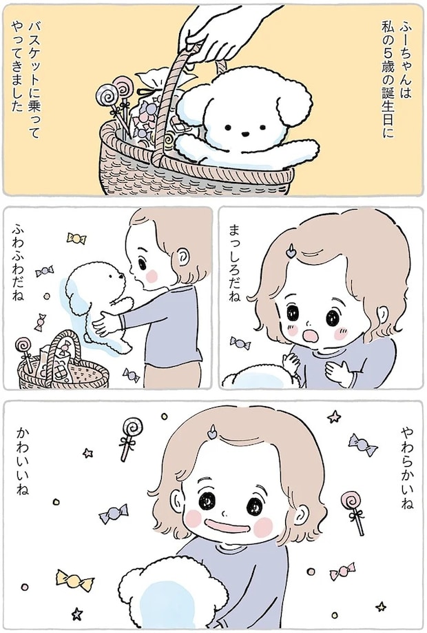 15867507.webp