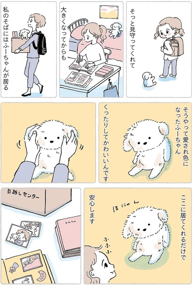 15867510.webp