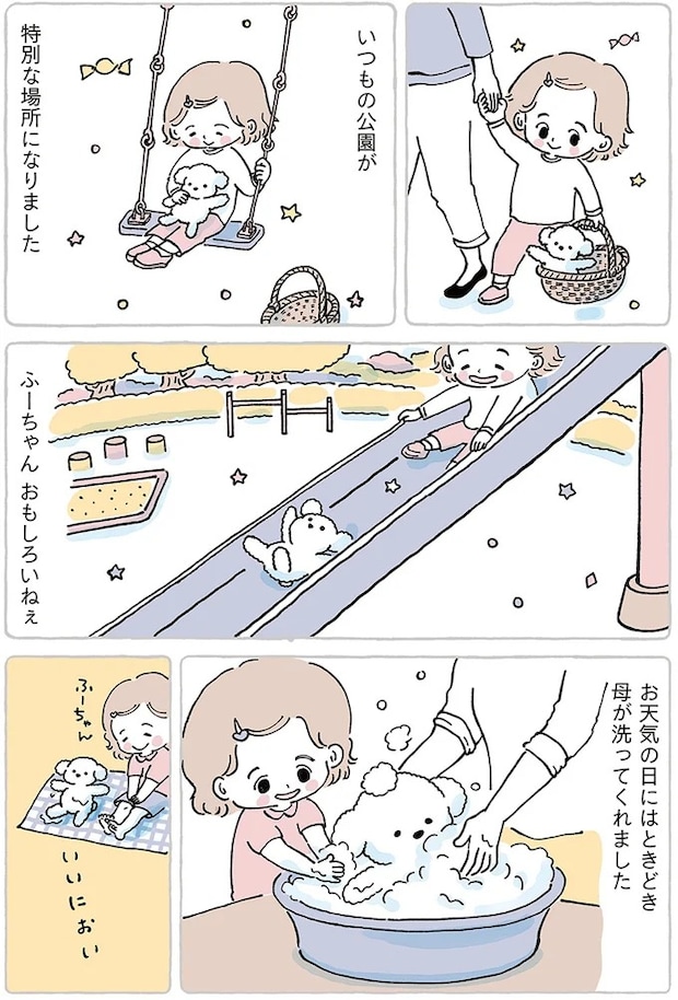 15867509.webp
