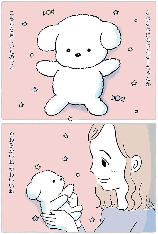 15867516.webp