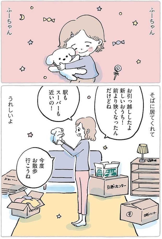 15867518.webp