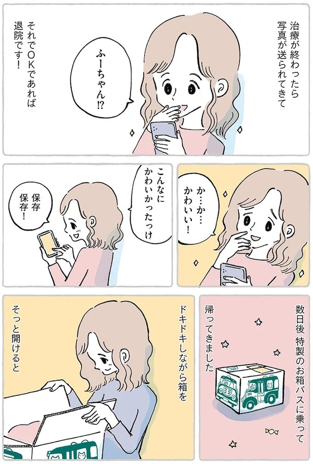 15867515.webp