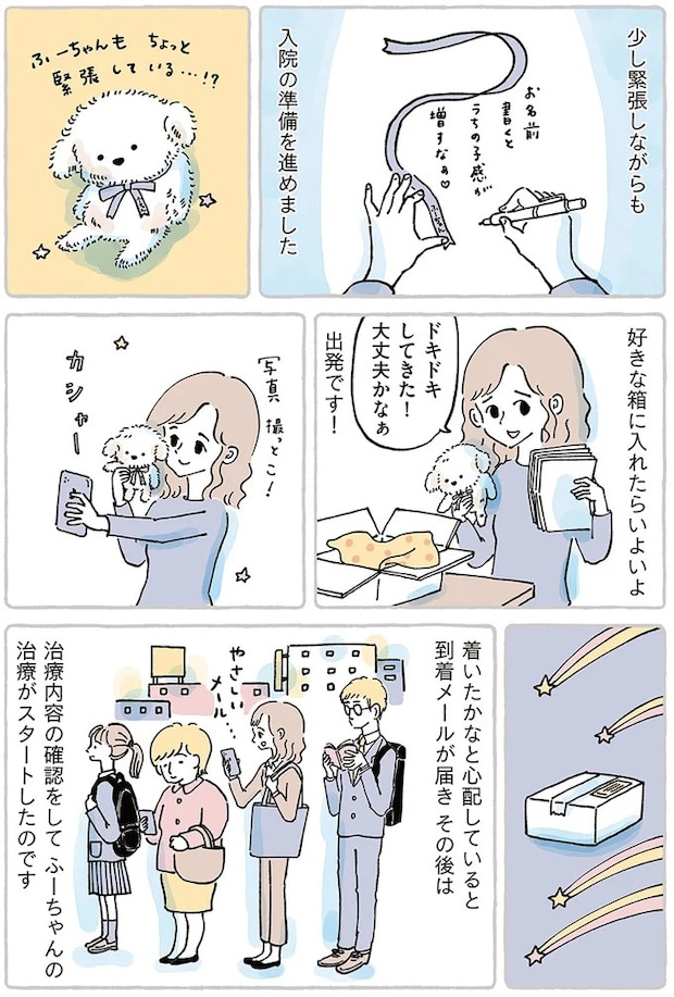 15867513.webp