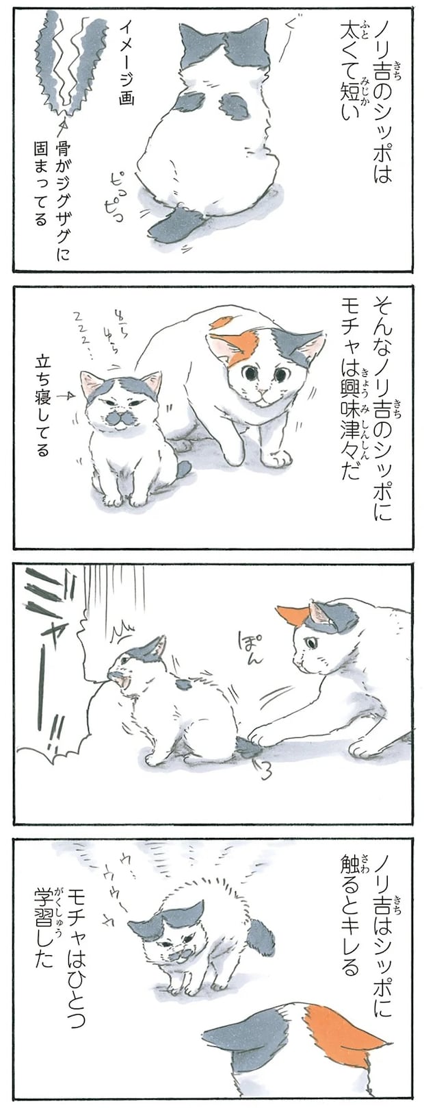 13238844.webp