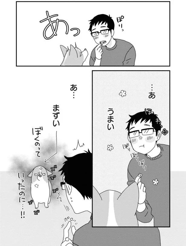 15923088.webp