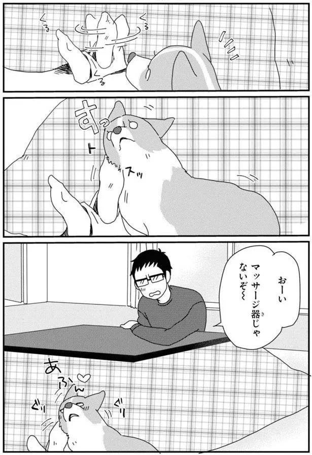15923089.webp