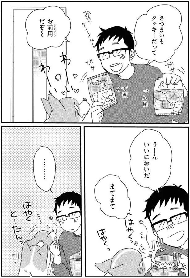 15923087.webp