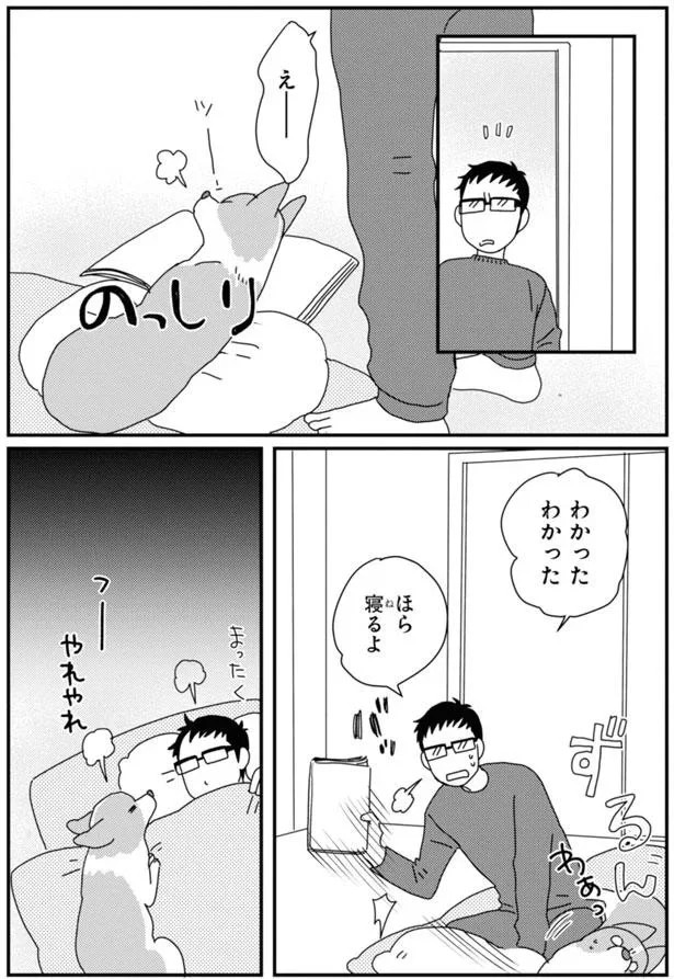 15923091.webp