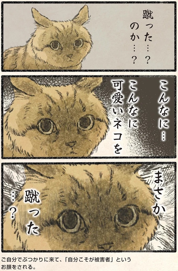 62.webp
