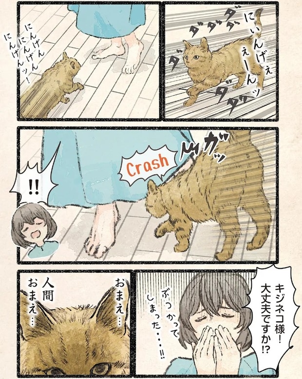 61.webp