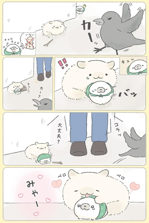 62.webp