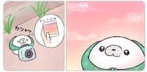 金木犀に真っ赤な夕焼け。喜ぶ顔が見たくて、すてきと感じた気持ちをおみやげに／ちょこんとあざらし