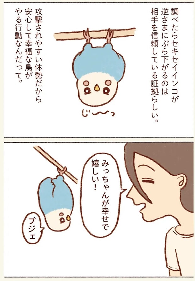 54.webp