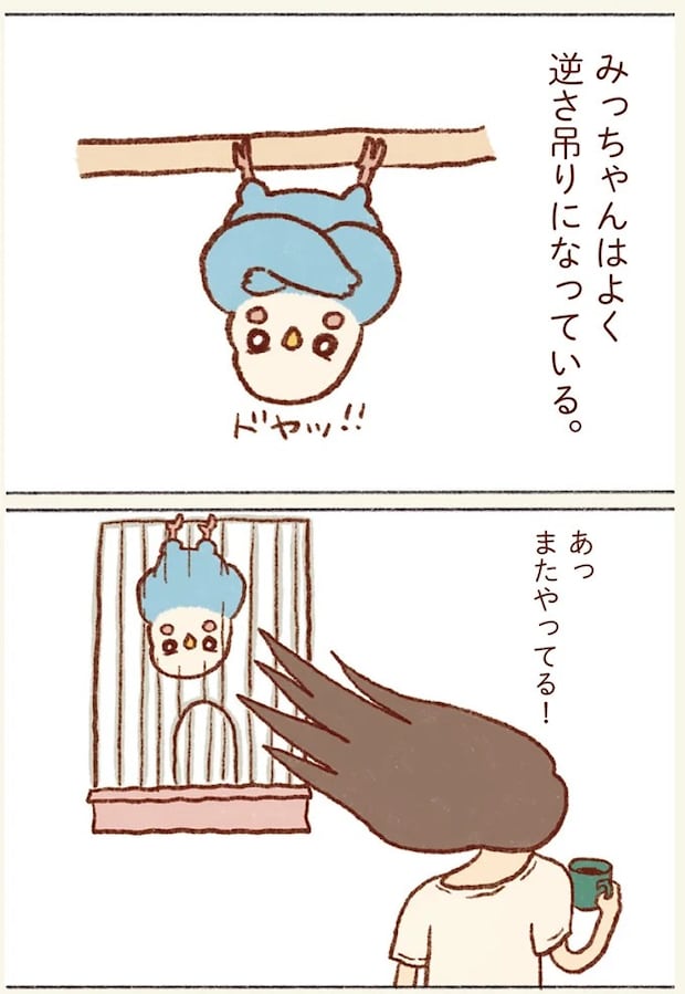 51.webp