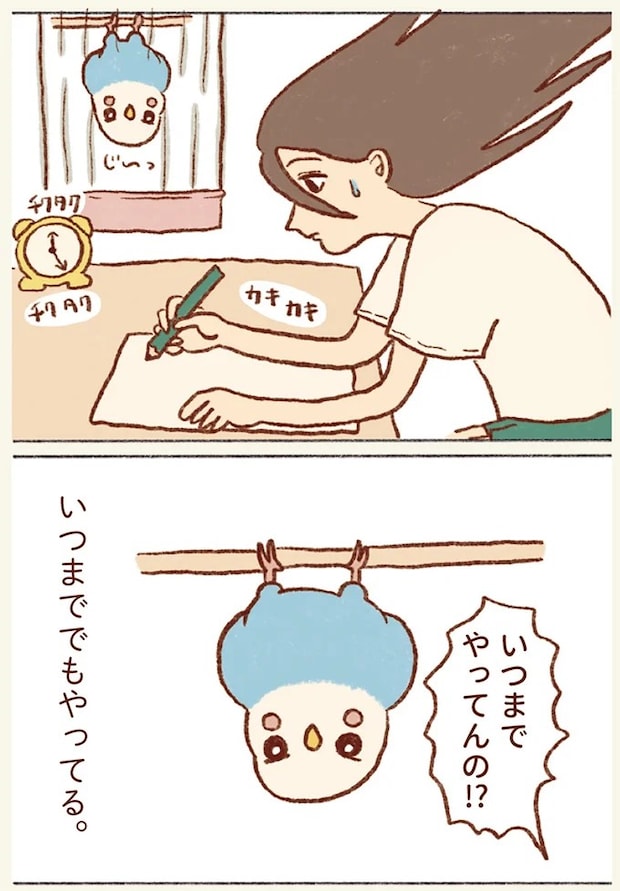 53.webp
