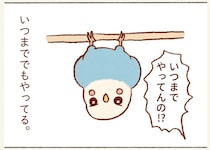 なぜ⁉ セキセイインコがよくする逆さ吊り。理由を調べてみたら「ほっこり」／プジェ日記！