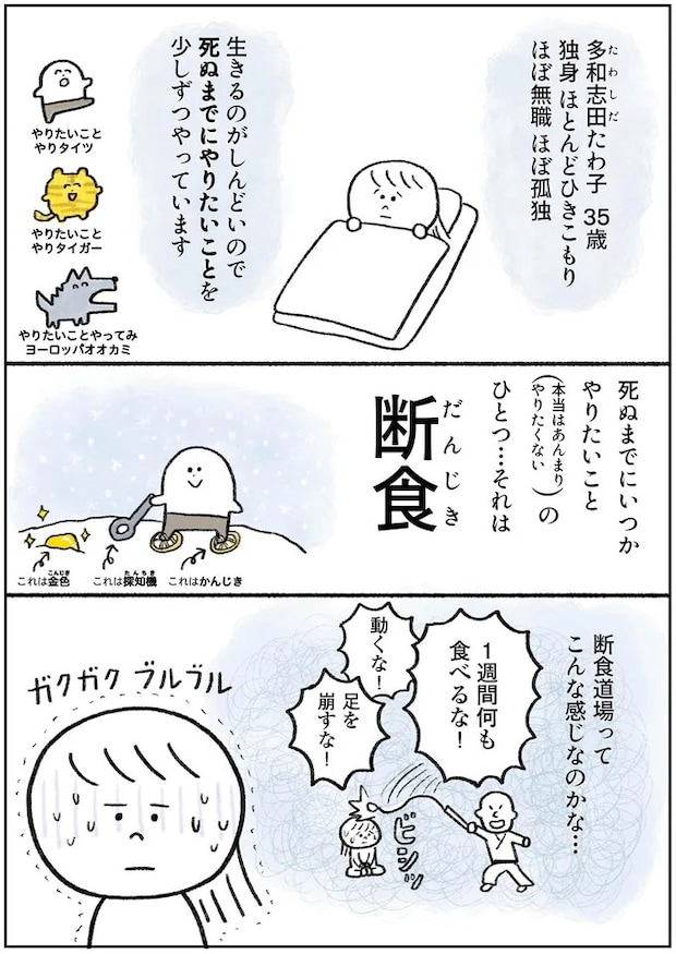 15913485.webp