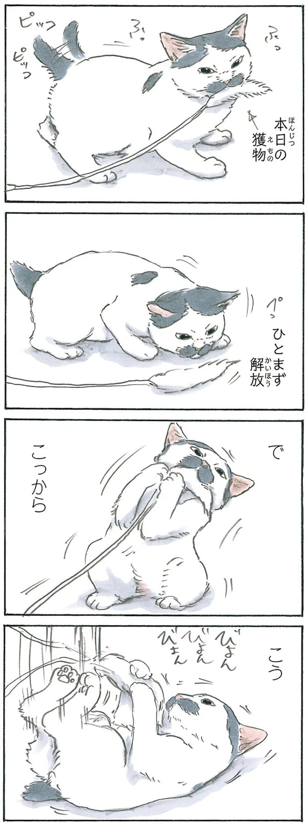 12975923.webp