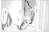愛猫が私の肩を思わせぶりにポン。ついていっても特になにもないんでしょ...？／夜は猫といっしょ7