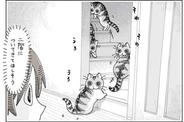 愛猫が私の肩を思わせぶりにポン。ついていっても特になにもないんでしょ...？／夜は猫といっしょ7