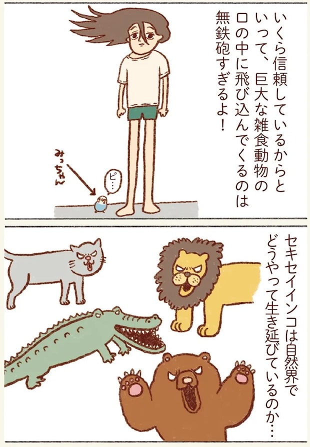 64.webp