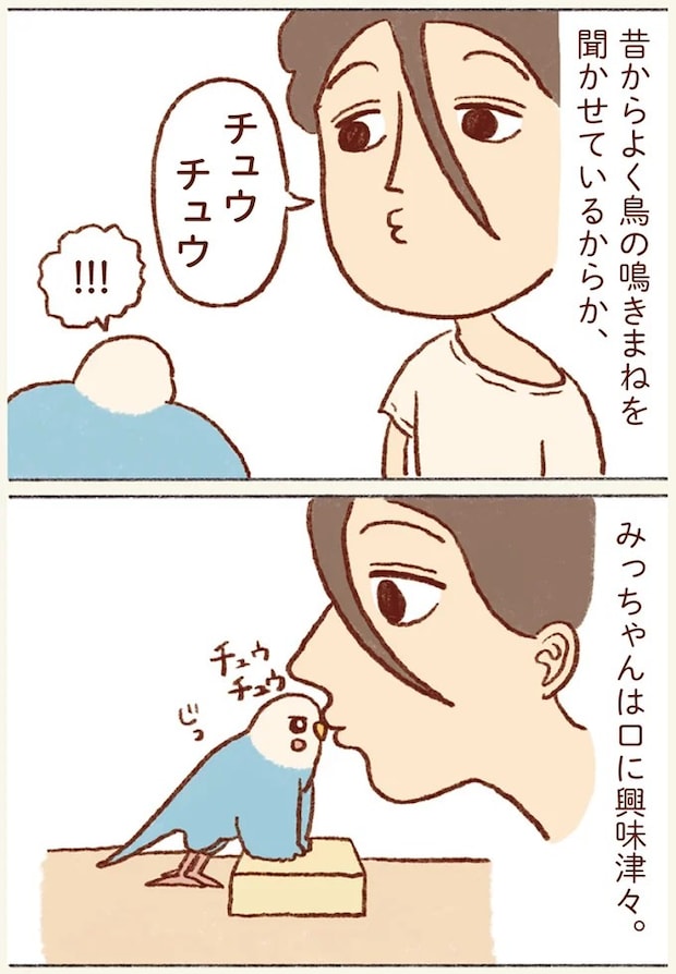 61.webp