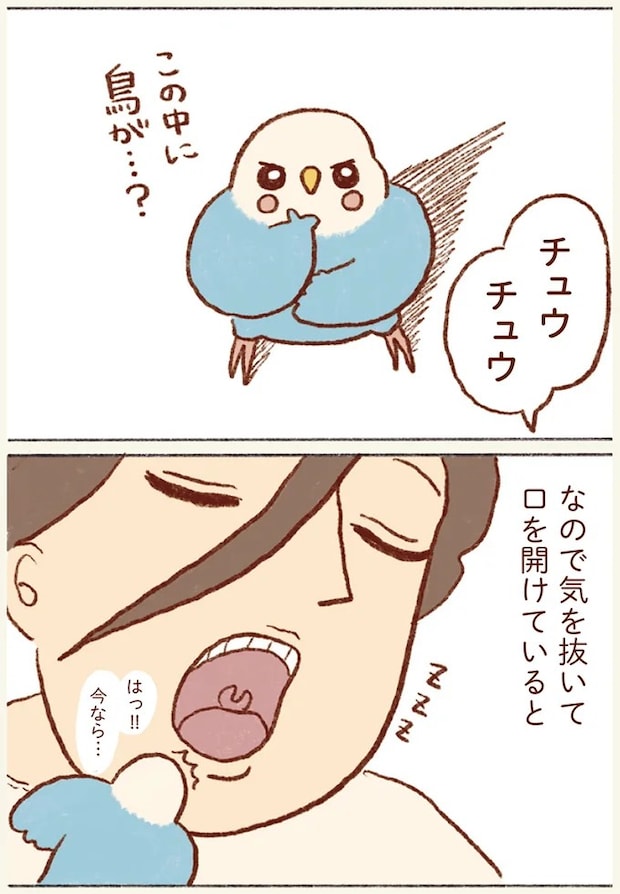 62.webp