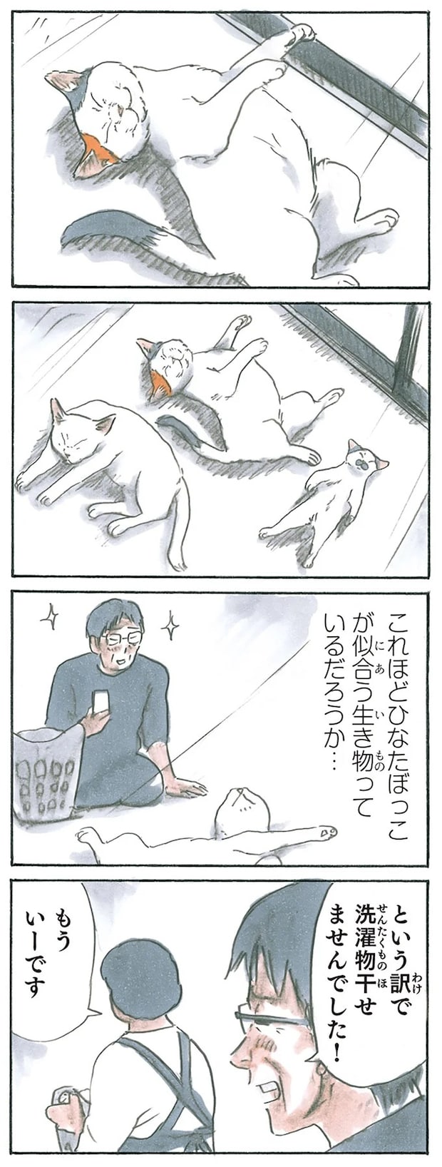 13274929.webp
