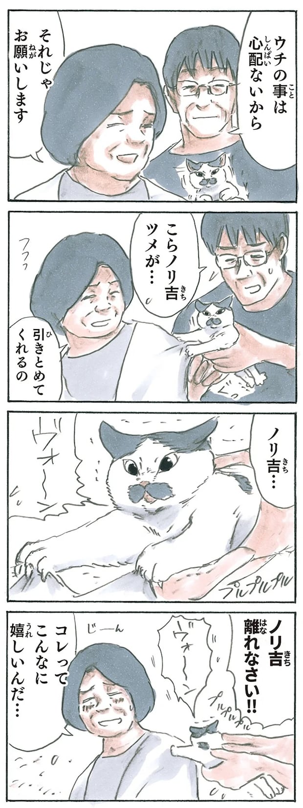 13274930.webp