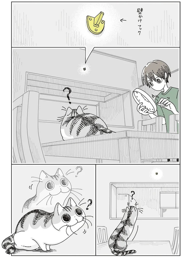 16061335.webp