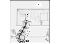 猫的には気になってしかたない⁉  時計を外したら壁についてる謎のフック／夜は猫といっしょ7