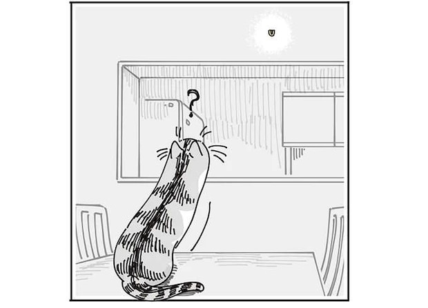 猫的には気になってしかたない⁉  時計を外したら壁についてる謎のフック／夜は猫といっしょ7