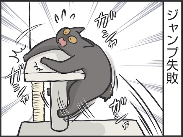 猫の表情3.PNG