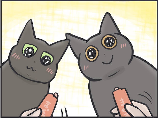 猫の表情8.PNG