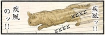 疾風のごとく部屋中を駆け回るネコ様が。血が騒ぐ「理由」は？／今日もネコ様の圧が強い2