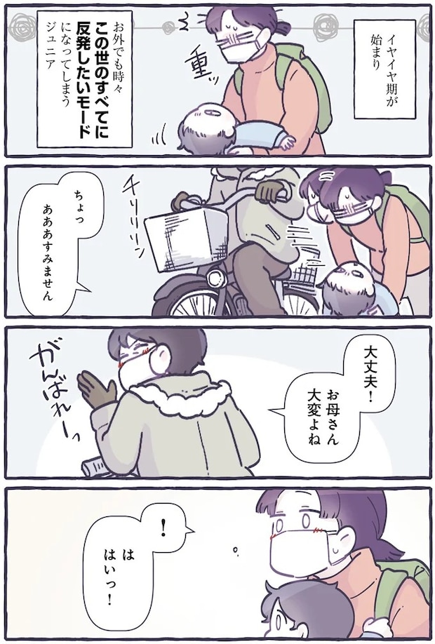 14477886.webp